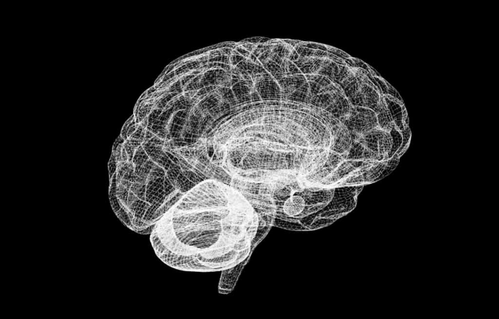 Les maladies d’origine neurologique comme celles d’Alzheimer ou de Parkinson vont devenir de plus en plus répandues dans une population vieillissante. Simuler de façon réaliste un cerveau sur ordinateur devrait permettre la mise au point de nouveaux traitements d’ici une décennie. © <em>Human Brain Project</em>