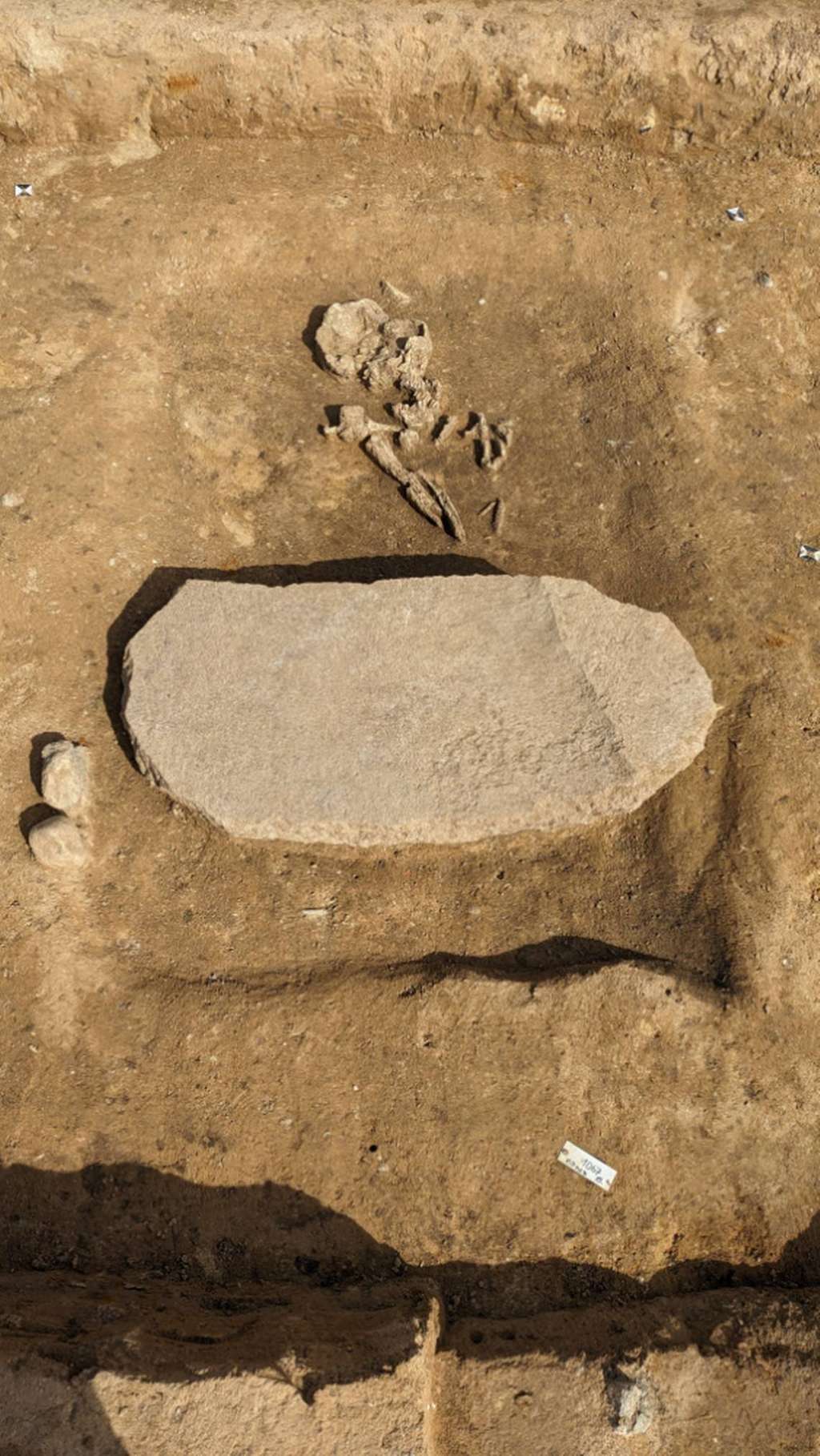 Vue aérienne de la tombe d’Oppin. On aperçoit les ossements de l’individu, vieux de plus de 4 000 ans, et la pierre superposée au corps. © LDA Saxony-Anhalt, Anja Lochner-Rechta