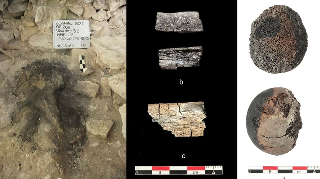 Les archéologues ont prélevé des fragments d’os et de la cendre pour tenter de déterminer ce qu’il avait bien pu arriver aux quatre individus retrouvés dans la pyramide d’Ucanal. © M. Perea, Halperin and al., <em>Antiquity</em>