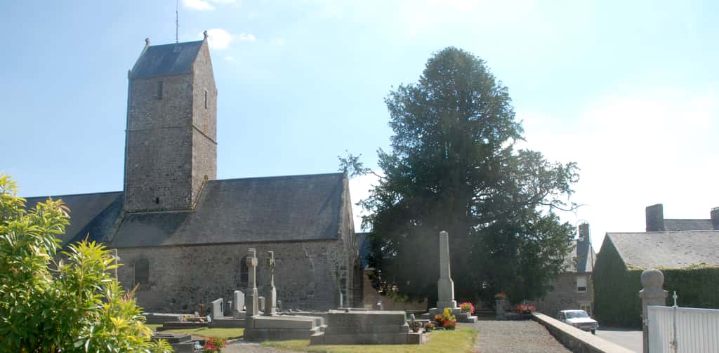 L’if de Saint-Ursin a été planté par les Celtes, il y a 1.000 ans. © WiPe, MonumentalTrees.com