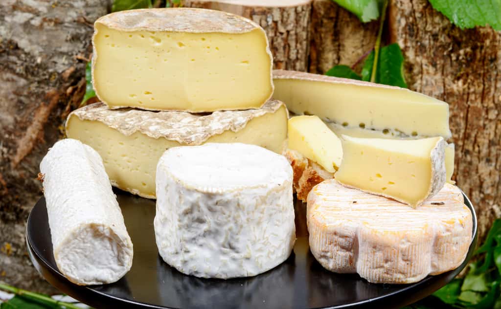 Des chercheurs français se sont vu attribuer l’Ig Nobel de médecine pour leurs travaux sur l’aversion au fromage. © Philipimage, Fotolia