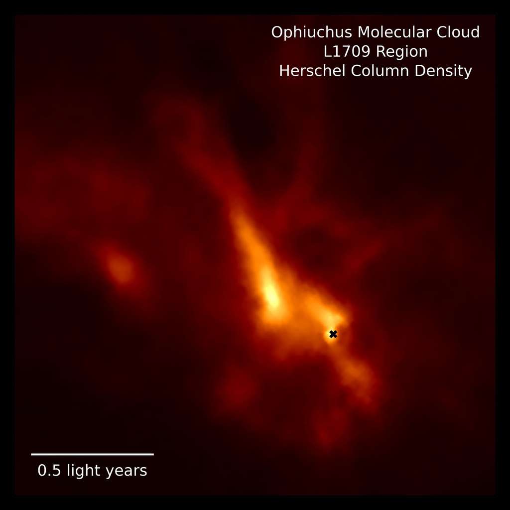 La région dense L1709 du nuage moléculaire d'Ophiuchus, cartographiée par le télescope spatial Herschel, qui entoure et alimente en matière la protoétoile IRS 63, beaucoup plus petite, et le disque où se forment des planètes (emplacement marqué par la croix noire). © MPE, D. Segura-Cox - données Herschel : ESA, Herschel, SPIRE, PACS, D. Arzoumanien