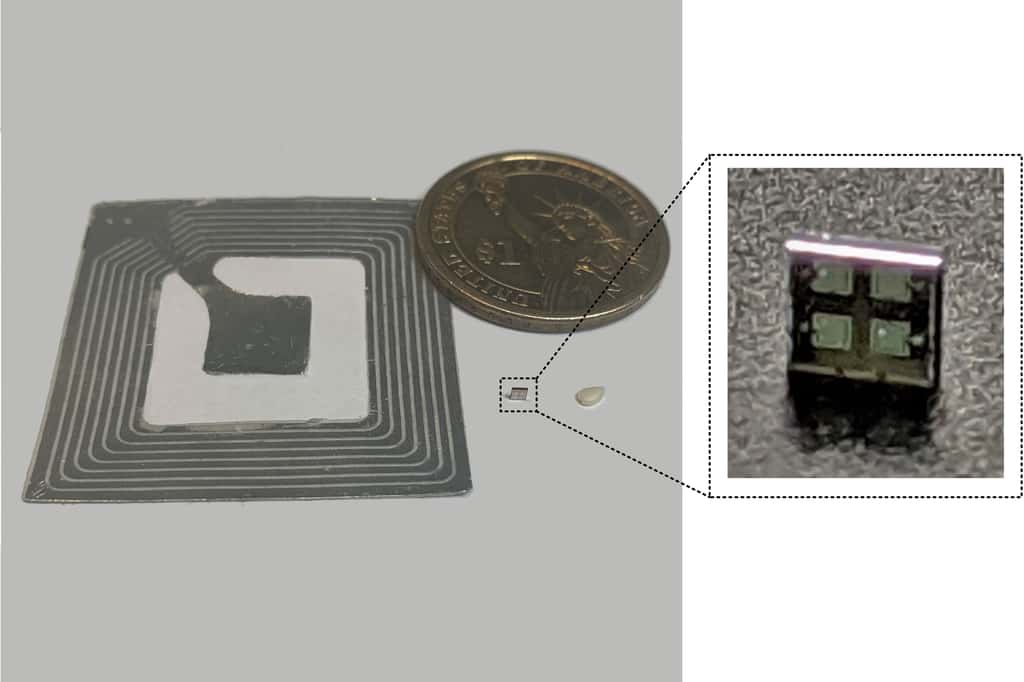 Malgré cette taille minuscule, cette puce peut à la fois communiquer avec un lecteur et crypter les données. © MIT