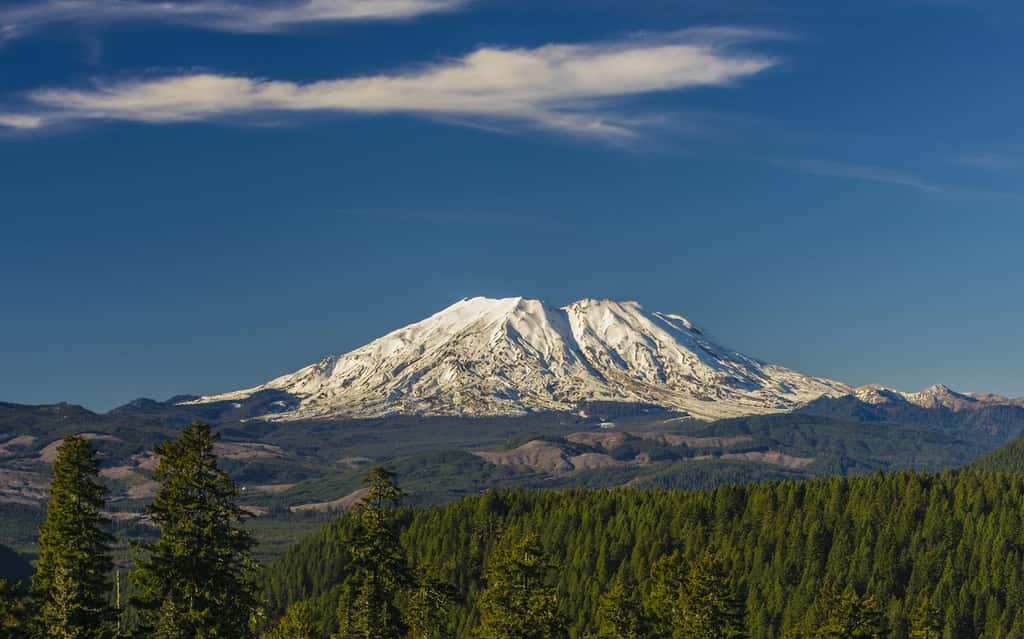 Le mont Saint Helens, dans l'État de Washington aux États-Unis, dont l'éruption cataclysmique de 1980 avait provoqué l'effondrement entier de l'un de ses pans. © Krzysztof Wiktor, Adobe Stock