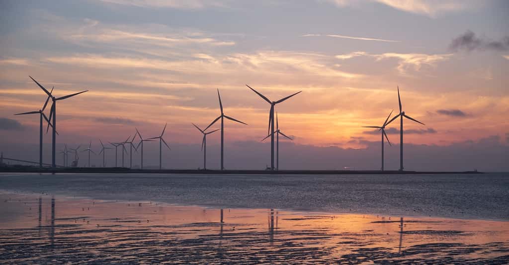 Les pales de certaines éoliennes sont en PVC. © WerbeFabrik, Pixabay, DP
