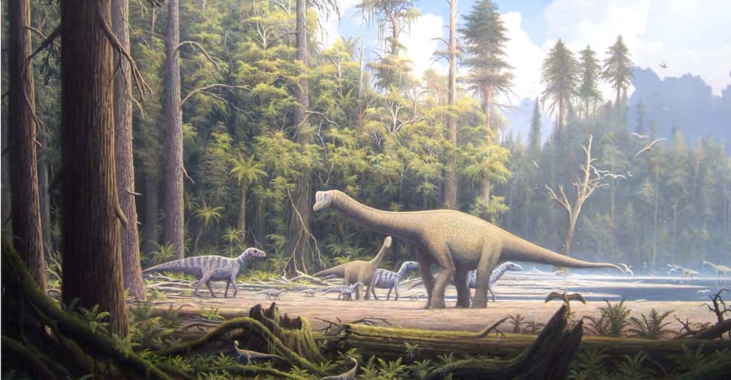 Au Jurassique, les dinosaures vont connaître une importante diversification. © Gerhard Boeggemann, <em>Wikimedia Commons</em>, CC by-sa 2.5 