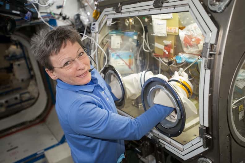 L'astronaute américaine Peggy Whitson en plein travail au cours de l'Expédition 51 en 2017 dans l'ISS. © Nasa