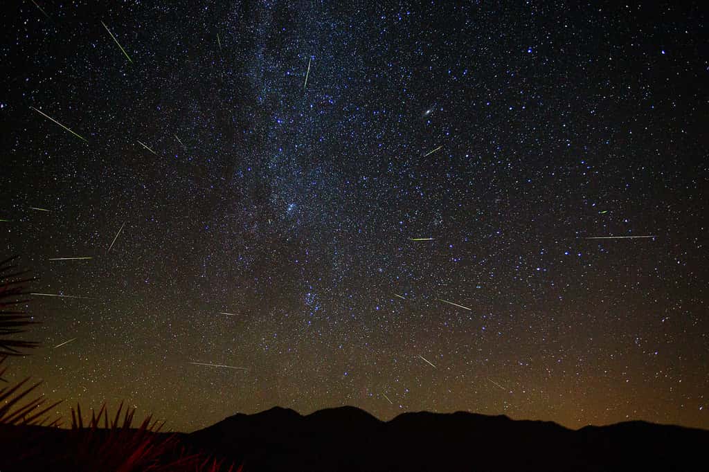 Pluie d'étoiles filantes des Perséides. © Eric Gorski, AFA
