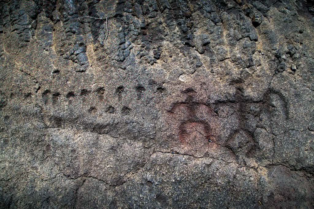 Les pétroglyphes hawaïens représentent souvent des êtres humains, de façon primaire, tel qu’ici dans la réserve de Pu’uloa. © National Park Service