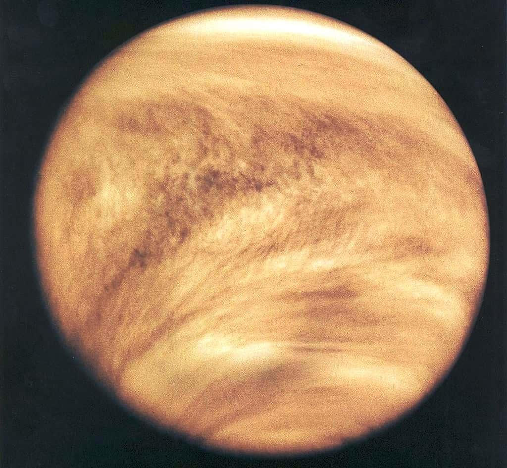 La sonde Pioneer Venus Orbiter a observé dans l’ultraviolet l’atmosphère de Vénus en 1979. Voici l’image qu’elle a obtenue. On pense maintenant que l’atmosphère de Vénus a empêché sa rotation propre de devenir synchrone avec sa révolution autour du Soleil. Le même phénomène permettrait aux exoplanètes douées d’atmosphère et proches des naines rouges de ne pas avoir une rotation synchrone. © Nasa 