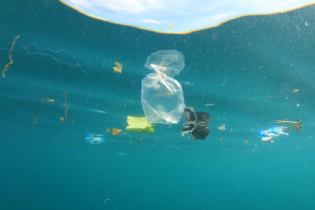 En 2050, il y aura plus de plastique que de poissons dans les océans si rien n'est fait. © Richard Carey, Fotolia