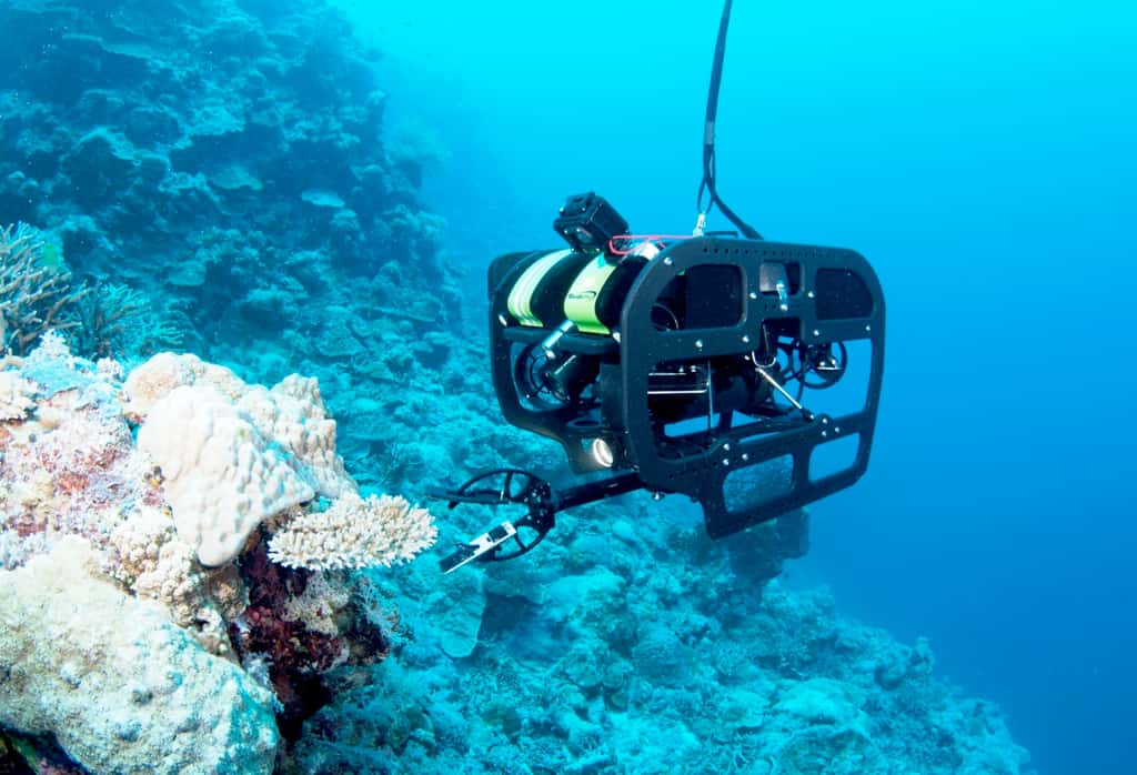 Un robot du <em>Catlin Seaview Survey</em> en train de prélever un échantillon sur la Grande Barrière de corail, au large de l’Australie. © <em>Catlin Seaview Survey</em>, Jayne Jenkins