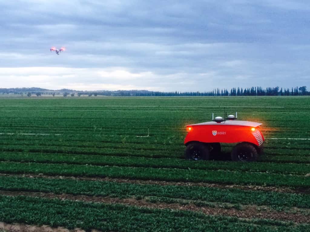 Le robot agricole Rippa, exemple de la modernisation du monde de l'agriculture. © Université de Sydney