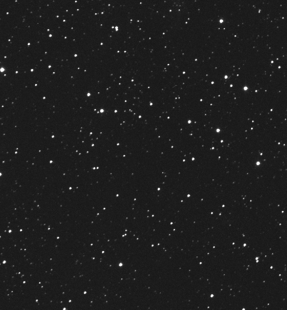 Un champ d'étoiles utilisé pour la recherche par l'équipe de MoleGazer. © L'équipe de MoleGazer