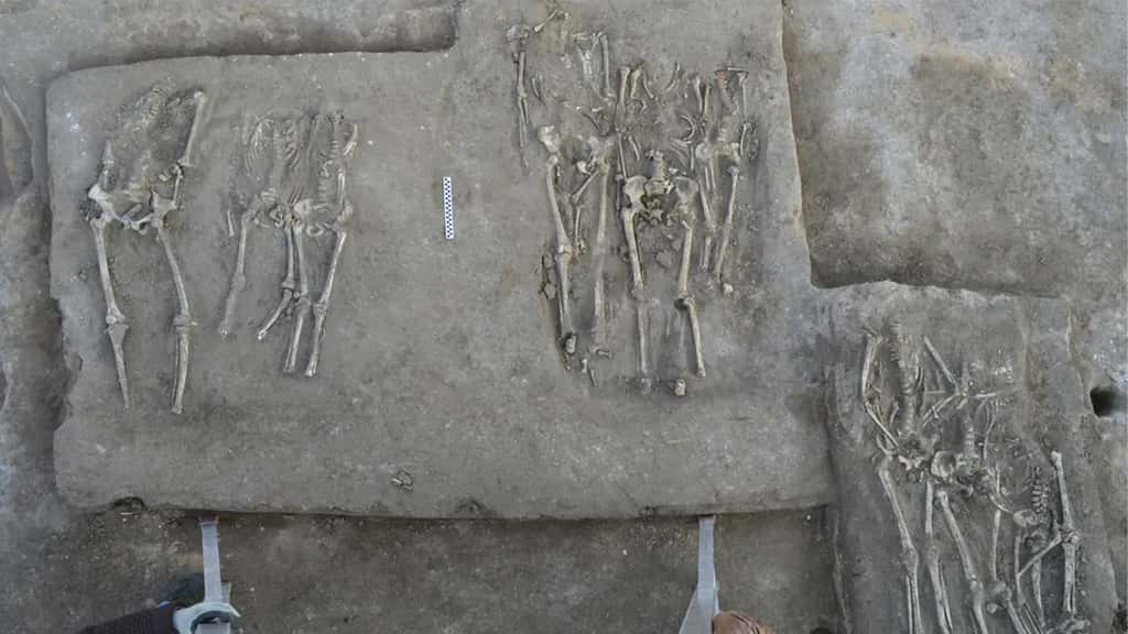 Quarante-et-un squelettes décapités ont été retrouvés sur le site de Honghe, au nord-est de la Chine. © Qian Wang, Texas A&M University School of Dentistry