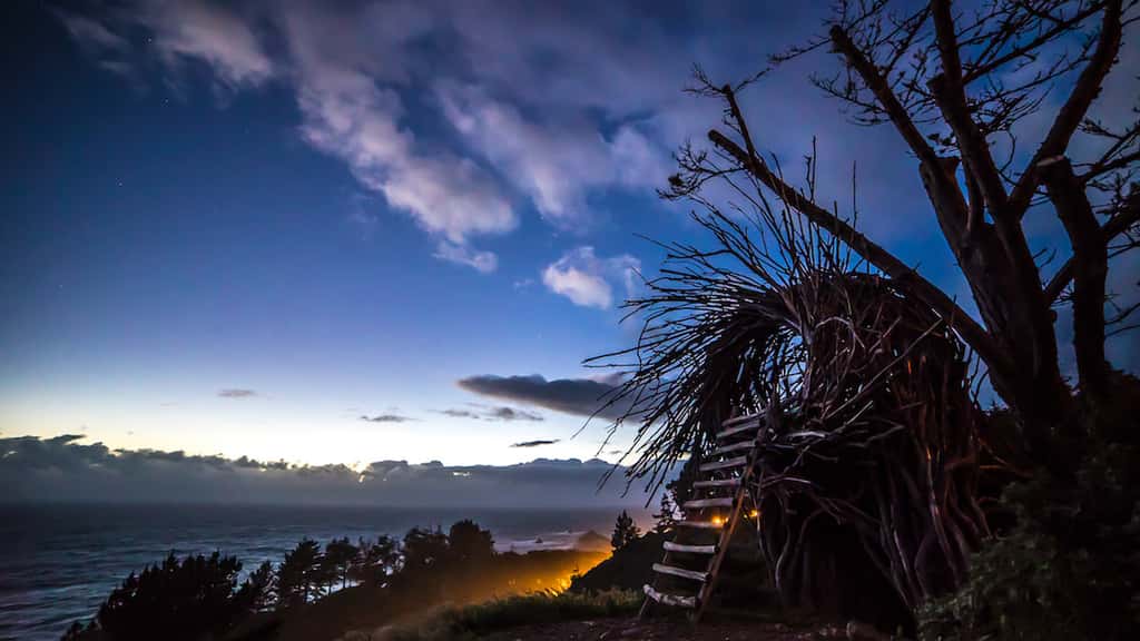 Une hutte en forme de nid d’oiseau en guise de couchage au Treebones Resort. © Treebones Resort