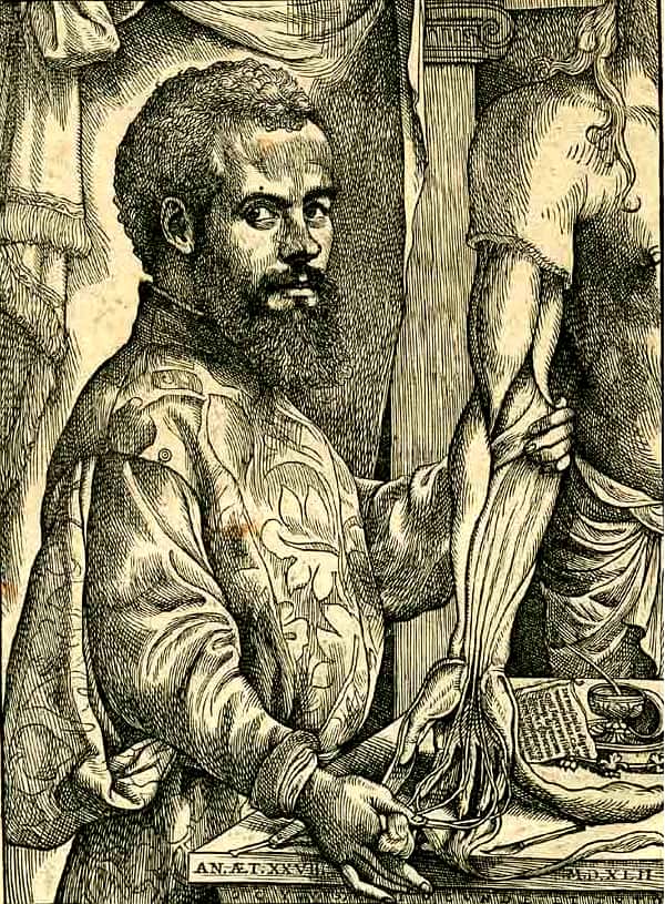 Andreas Vesalius, auteur de l'ouvrage phare <em>De Humani Corporis Fabrica Libri Septem</em>, pratique des recherches sur un cadavre humain. © Wikimedia Commons
