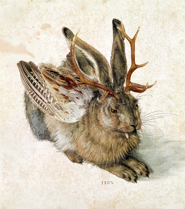Détournement de l'aquarelle <em>Le Lièvre</em> (Albrecht Dürer), représentant l'une des apparences que peut prendre le <em>wolpertinger</em>. © Thomas Grunfeld
