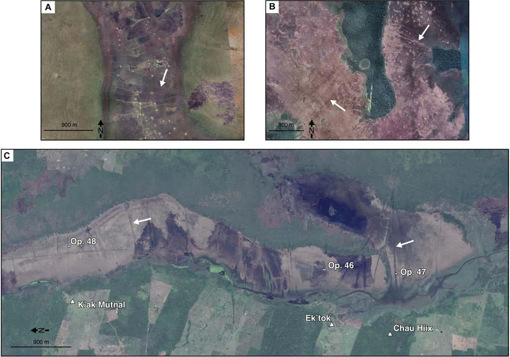 Les scientifiques ont comparé les zones de pêche observées au Bélize (C), avec des structures en Zambie (A) et en Bolivie (B). © <em>Science Advances</em>