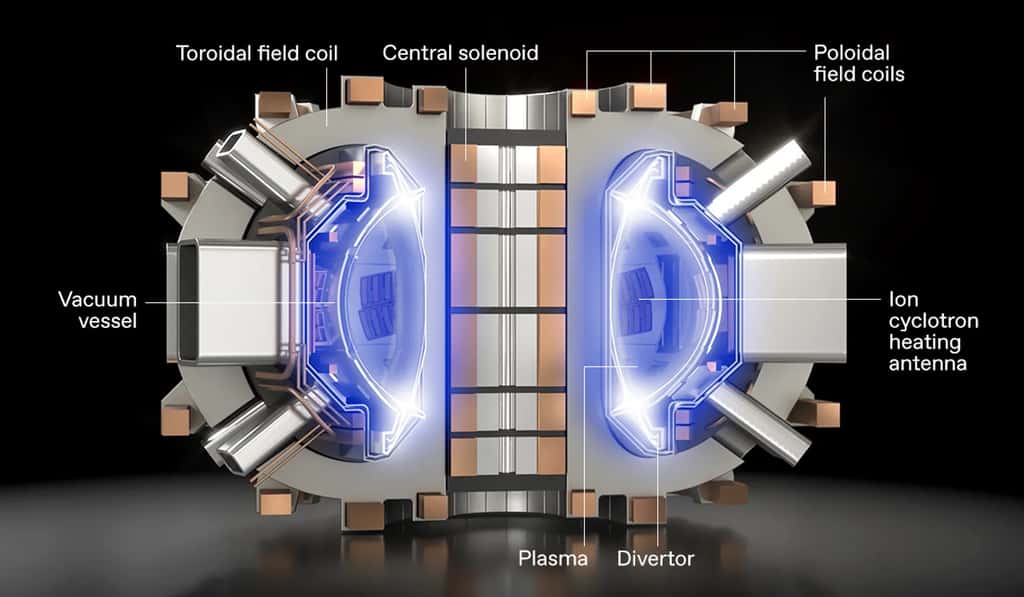 Représentation 3D d'un réacteur à fusion tokamak, tel que le Sparc. © MIT, CFS, T. Henderson