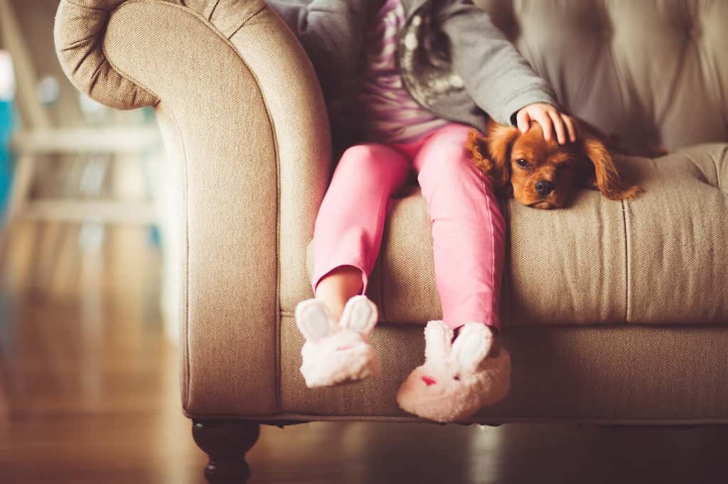 On n’adopte pas un chien comme on offre un jouet. L’acte doit être mûrement réfléchi, car il engage sur plusieurs années. © andrewicus, Pixabay, CC0 Creative Commons