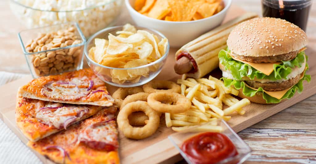 Selon des chercheurs canadiens de l’université de Montréal, une alimentation riche en graisses saturées pourrait provoquer des troubles de l'humeur. © Syda Productions, Shutterstock