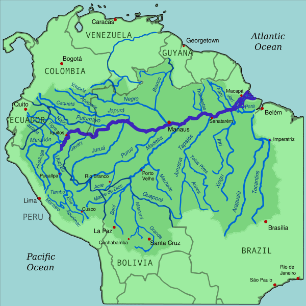 Le fleuve Amazone draine une surface de plus de 6 millions de km<sup>2</sup> qui occupe 40 % de l’Amérique du Sud. © Kmusser, <em>Wikimedia Commons</em>