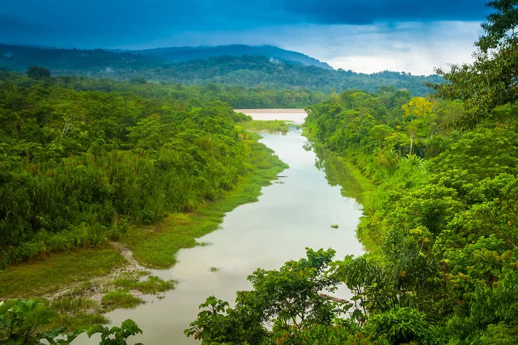 Le bassin amazonien est alimenté par plus de 1.000 cours d'eau qui bougent au cours du temps, érodent et construisent le paysage. © Grispb, Adobe Stock