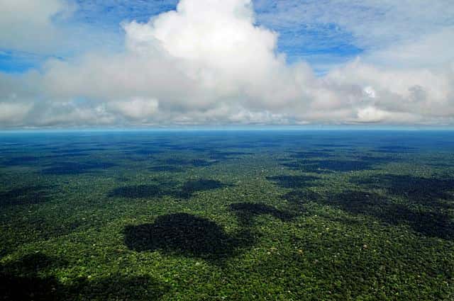 Les poussières africaines qui se déposent en Amazonie joueraient un rôle dans la prévention de l'épuisement du phosphore sur des échelles de temps de plusieurs décennies à plusieurs siècles. © Neil Palmer, CIAT, Wikimedia Commons, CC by-sa 2.0