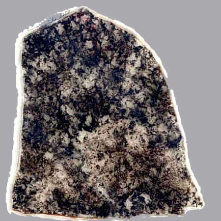 Cette lame de roche est âgée de 1,8 milliard d'années. Des fossiles de bactéries sulfureuses ont été trouvés dans les zones sombres. Ils sont essentiellement identiques aux fossiles plus vieux de 500 millions d'années, également trouvés en Australie, et surtout à des micro-organismes modernes. © <em>UCLA Center for the Study of Evolution and the Origin of Life</em>