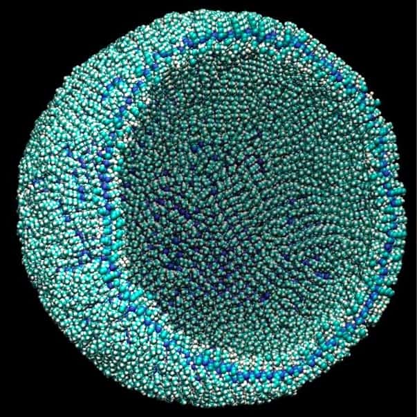 Une vésicule formée par un azotosome de 90 Å de diamètre, soit la taille d’un petit virus. © James Stevenson