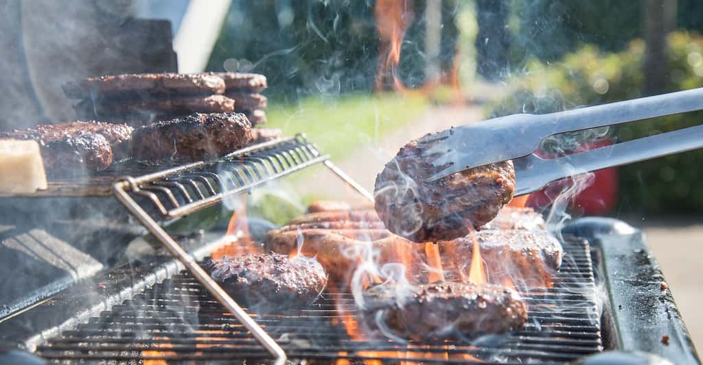 La cuisson au barbecue produit des hydrocarbures aromatiques polycycliques (HAP) dangereux pour notre santé. On en trouve au cœur de la viande elle-même, mais aussi dans la fumée qui se dégage du barbecue. © Skitterphoto, Pixabay, CC0 Creative Commons