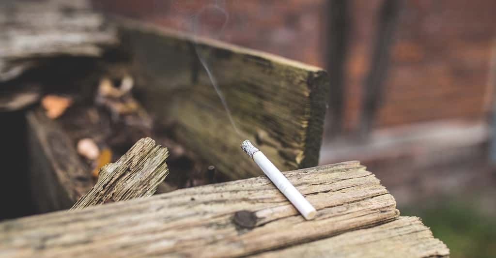 La fumée de cigarette produit du benzène. © Pexels, Pixabay, CC0 Creative Commons