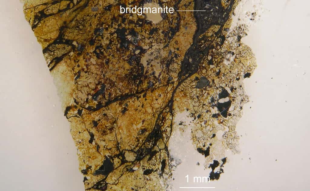 La bridgmanite est le principal minéral composant le manteau terrestre inférieur. © Chi Ma