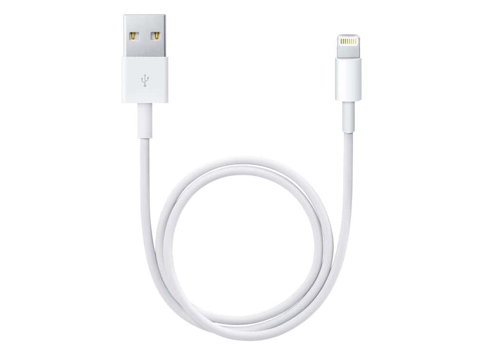 Un câble pour iPhone peut coûter entre 2 et 20 euros... © Apple