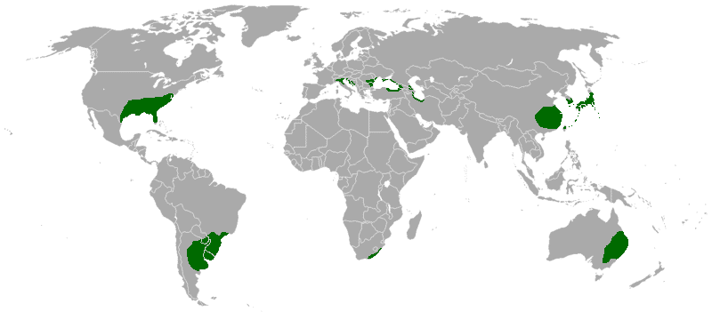 Sur cette carte, les zones de climat subtropical humide en vert. © Strongbad1982, Wikipédia, Domaine public