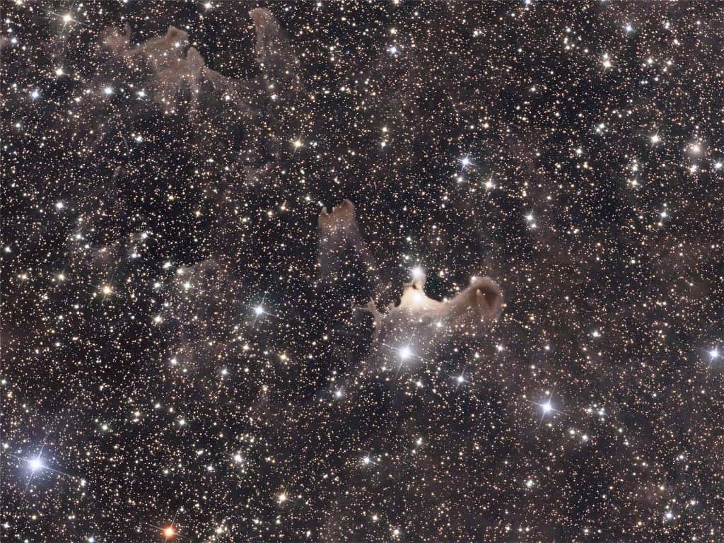 Le nuage moléculaire de Céphée s'étend sur quelques années-lumière. Il est plus connu en anglais sous le nom de <em>Cepheus Flare</em>, et il contient d'intéressantes nébuleuses. C'est un lieu de formation de protoétoiles. © Giovanni Benintende
