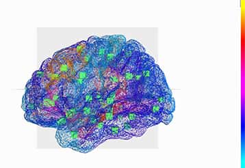 Le Cerveau Virtuel : reconstruction des régions du cerveau et des connexions qui les relient. Les cubes verts indiquent le centre des régions du cerveau qui sont connectées. © INS UMR1106 Inserm, AMU