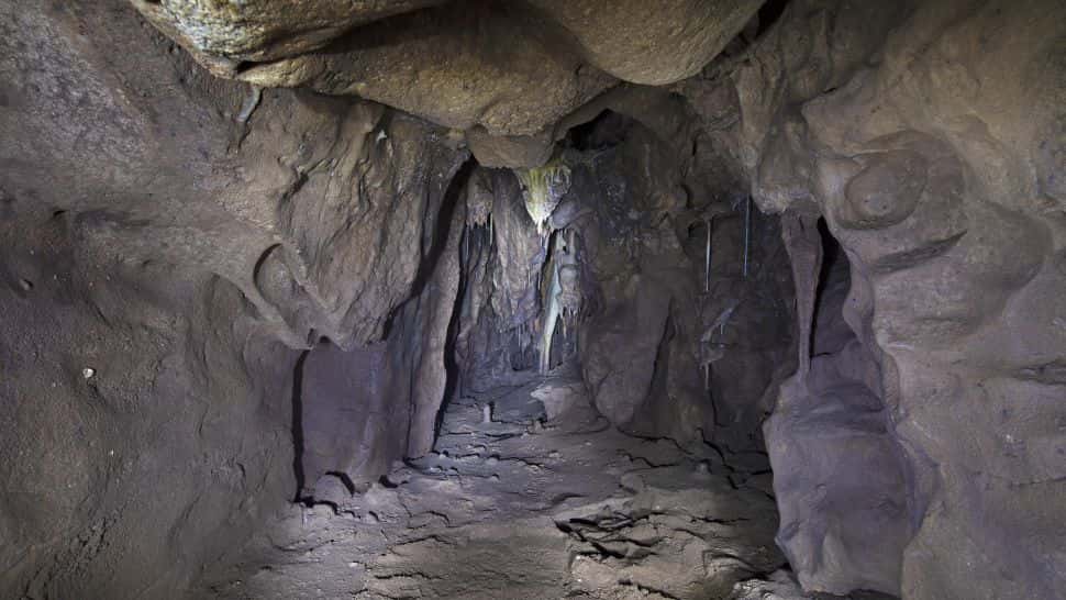 La chambre qui vient d'être découverte a été scellée pendant au moins 40.000 ans. © <em>Gibraltar National Museum</em>