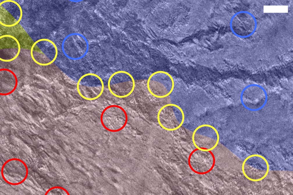 Cette image en microscopie électronique à transmission montre une paroi de domaine (marquée de cercles jaunes) entre deux états différents, alpha (zone rouge) et bêta (zone bleue), dans un cristal de disulfure de tantale. L’état bêta et la paroi du domaine apparaissent formés après que le cristal a été frappé avec une seule impulsion lumineuse. © SLAC, <em>Stanford University</em>