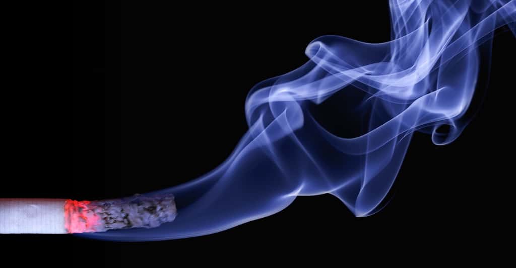  <br>La fumée de cigarette est l’un des polluants de l’air de nos maisons le plus connu. © realworkhard, Pixabay, CC0 Creative Commons