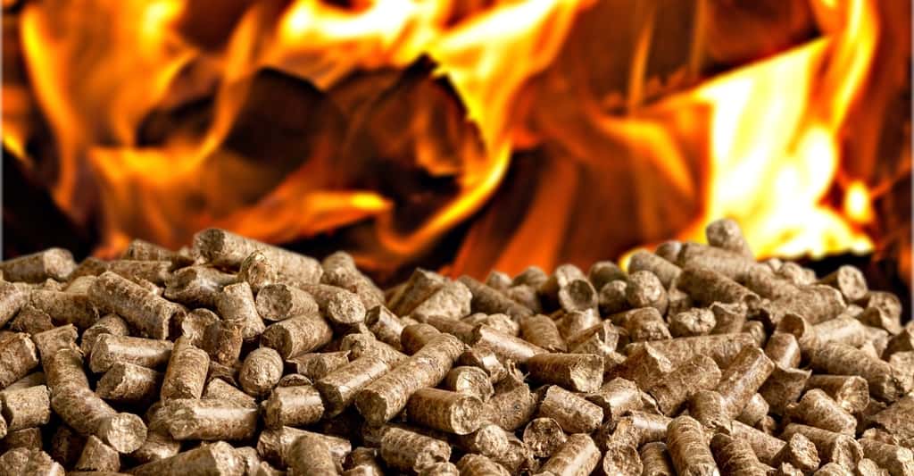 La combustion des granulés de bois est plus complète que celle des bûches de bois. © BillionPhotos.com, Fotolia