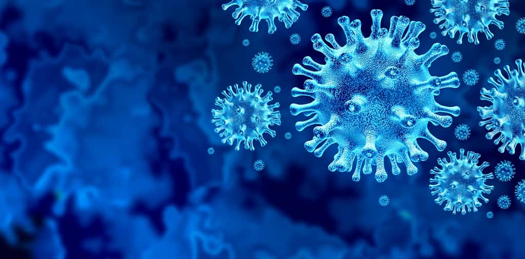 Le vaccin présenté dans l'étude n'est actif que sur les coronavirus qui se lient aux récepteurs ACE2. © Freshidea, Adobe Stock
