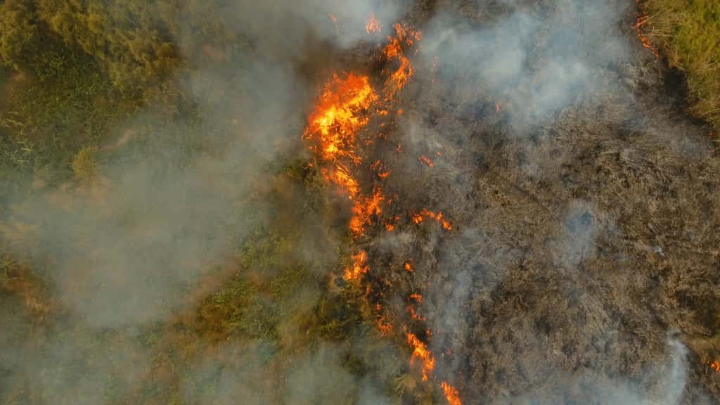  Les incendies sont également une source importante de pollution et donc de décès précoces. ©Alexpunker, Adobe Stock