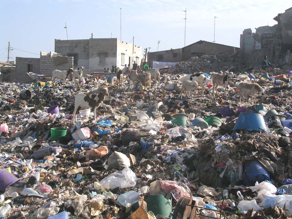La décharge — ou centre de stockage des déchets — représente le plus ancien moyen de se débarrasser des déchets. Dans certains pays (ici à Dakar, au Sénégal), elle est utilisée quasi exclusivement. © MyriamLouviot, Wikipedia, CC by 3.0
