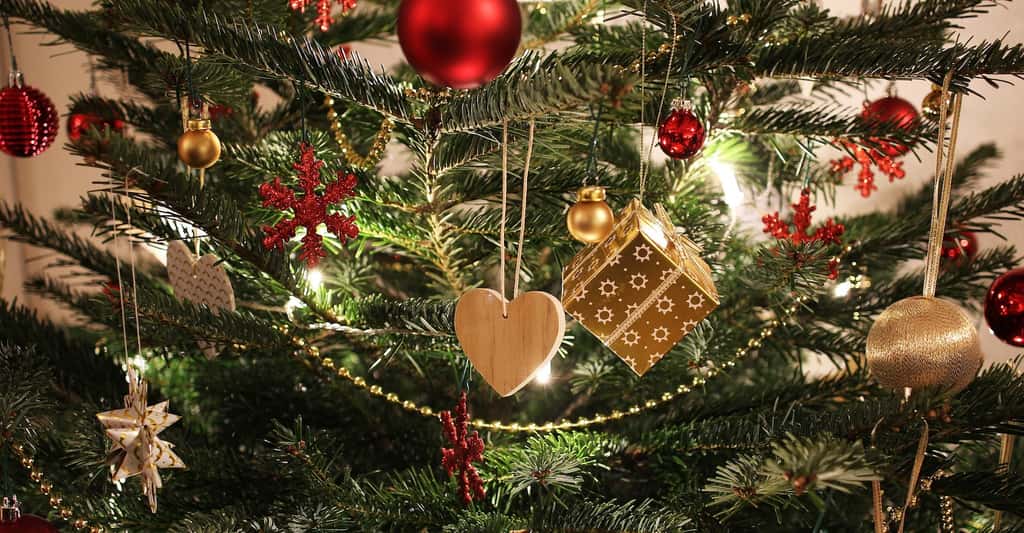 Les boules de Noël ne sont pas les seules décorations que l’on puisse suspendre à son sapin. © ExposureToday, Pixabay, CC0 Creative Commons