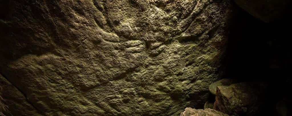 Gravure de cerf datant de 4.000 ou 5.000 ans. © Santiago Arribas Pena, HES