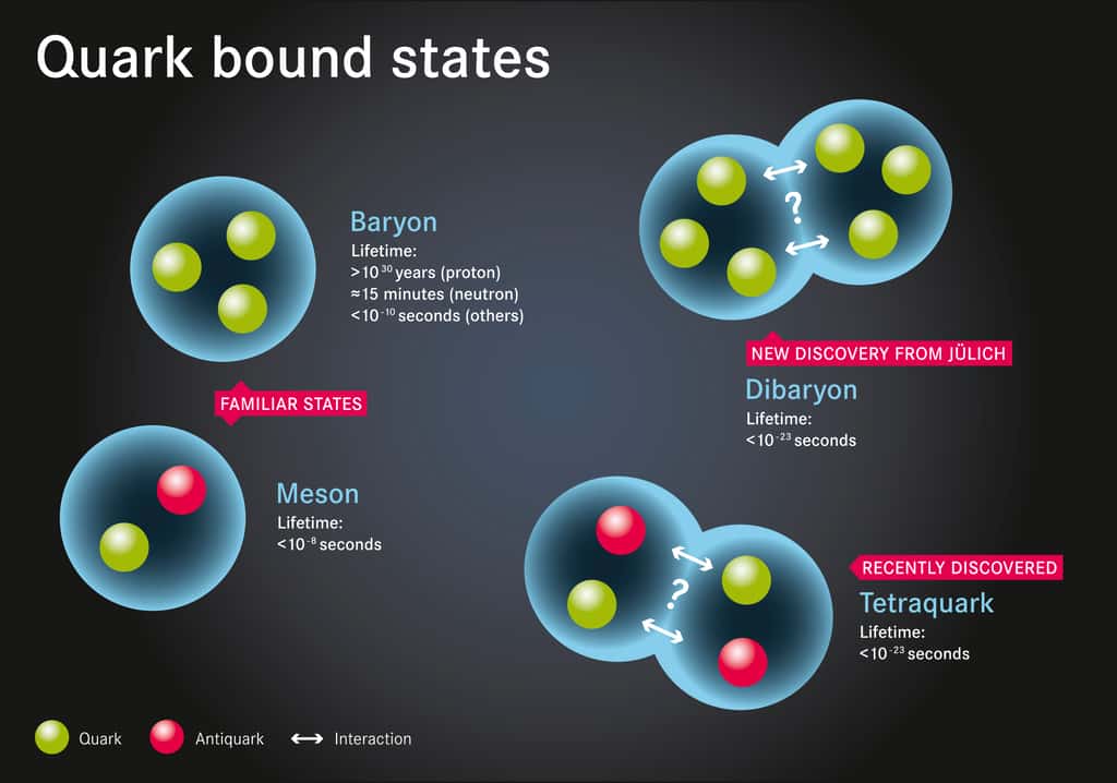 Les hadrons ordinaires (à gauche) sont des baryons ou des mésons. Des données expérimentales prouvent maintenant l'existence de hadrons exotiques (à droite). Ils contiennent plus de trois quarks ou antiquarks, mais on ne sait pas encore très bien si ce sont des états moléculaires de hadrons, par exemple un dibaryon, ou d'authentiques états liés de quarks, comme le sont les hadrons ordinaires. © Centre de recherche de Jülich, SeitenPlan, cc by 4.0