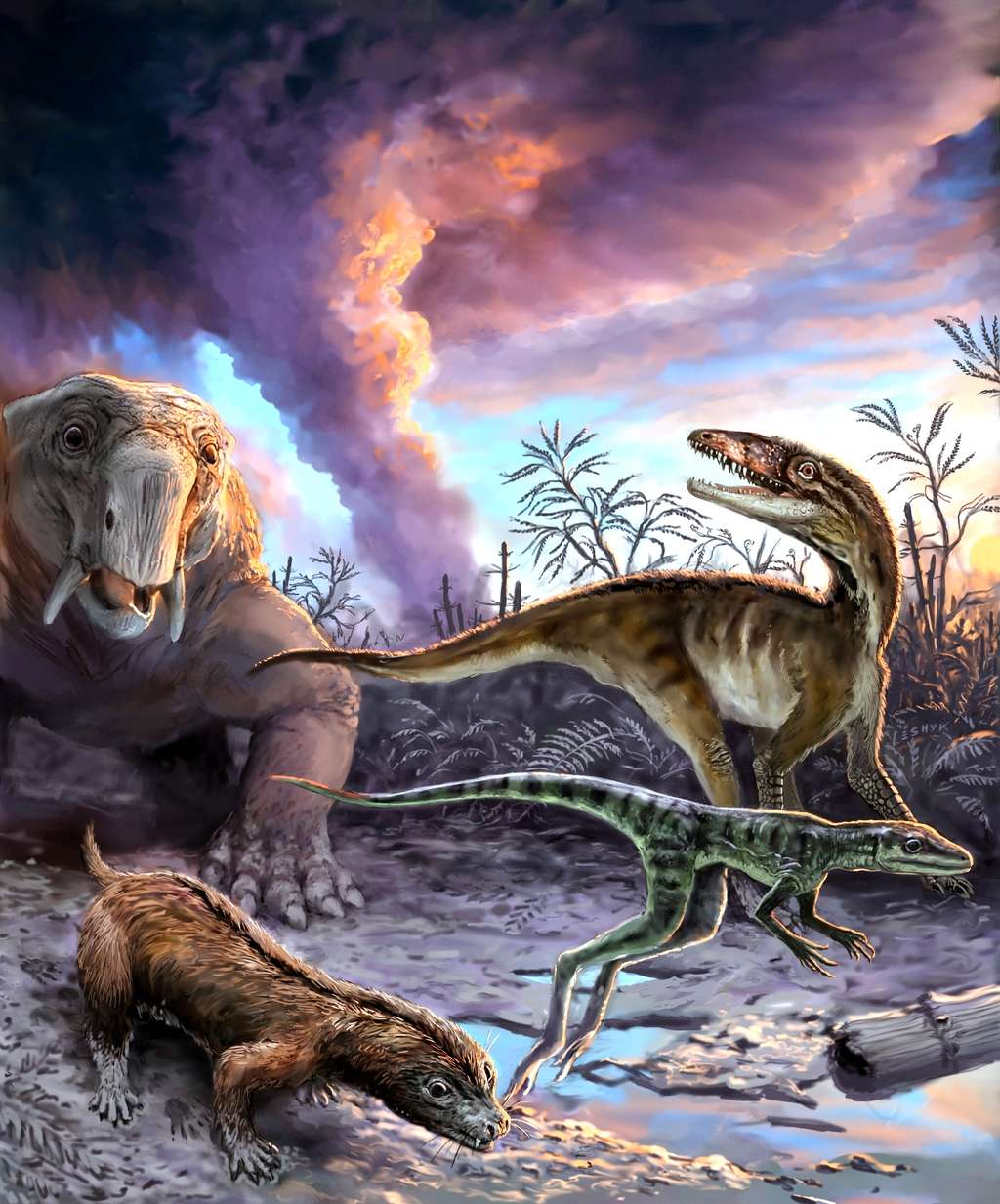 Cette image d'artiste montre des animaux échappant à une éruption volcanique il y a 235 millions d'années dans le nord-ouest de l'Argentine. Les espèces représentées ont laissé des fossiles dans la célèbre formation Chañares. À gauche, deux ancêtres des mammifères (en haut à gauche, un dicynodonte, <em>Dinodontosaurus</em>, et en bas à gauche, au premier plan, un cynodonte, <em>Massetognathus</em>) ; à droite des précurseurs des dinosaures (<em>Lewisuchus</em> en arrière-plan et <em>Lagerpeton</em> au premier plan). © Victor Leshyk