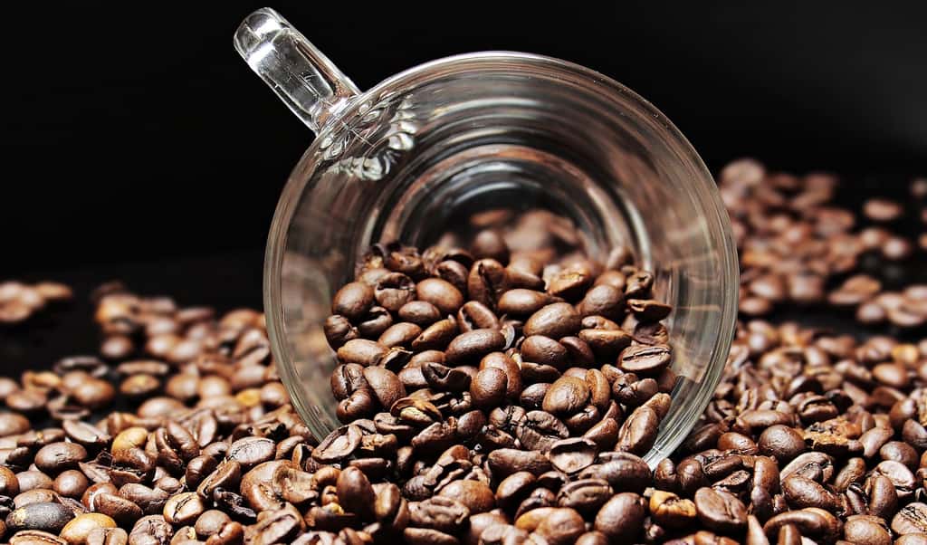 Il est communément admis que la consommation de 300 à 400 mg de caféine par jour n’entraîne aucun effet secondaire. © pixel2013, Pixabay, CC0 Creative Commons